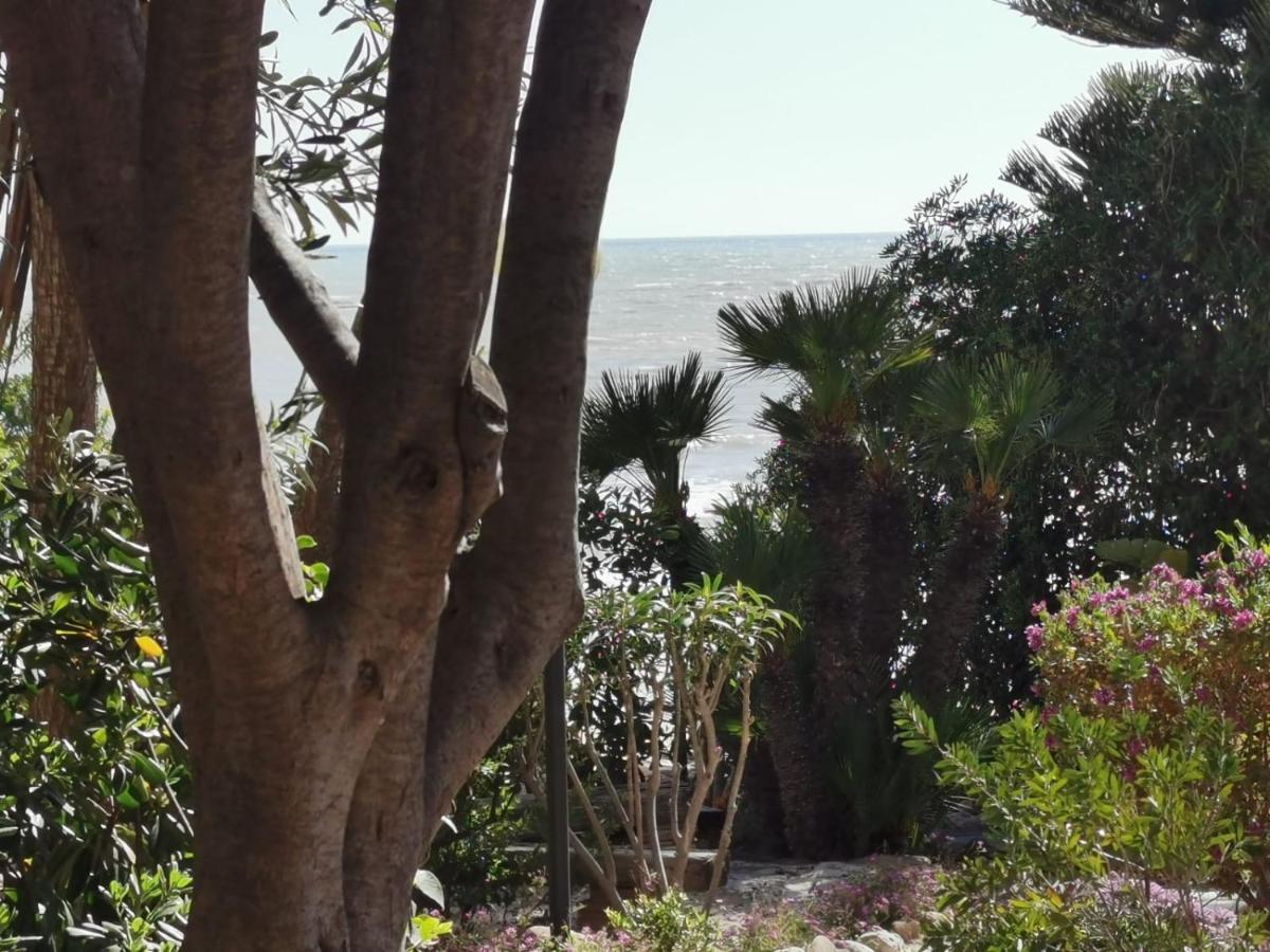 Giardino Sul Mare Leilighet Realmonte Eksteriør bilde