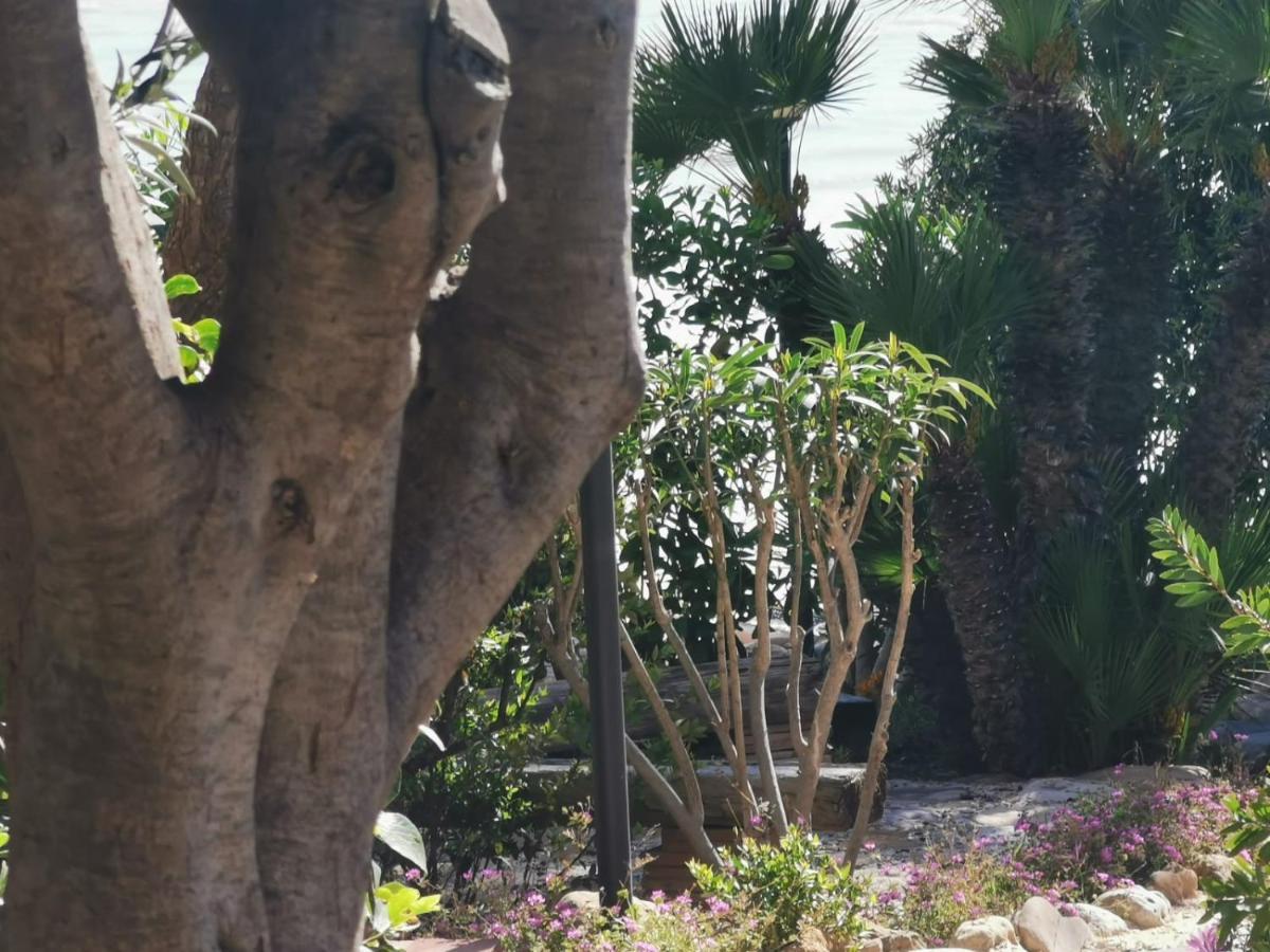 Giardino Sul Mare Leilighet Realmonte Eksteriør bilde