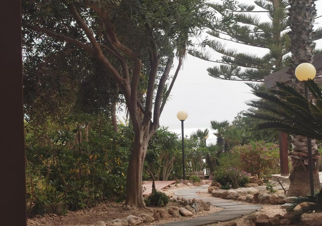 Giardino Sul Mare Leilighet Realmonte Eksteriør bilde
